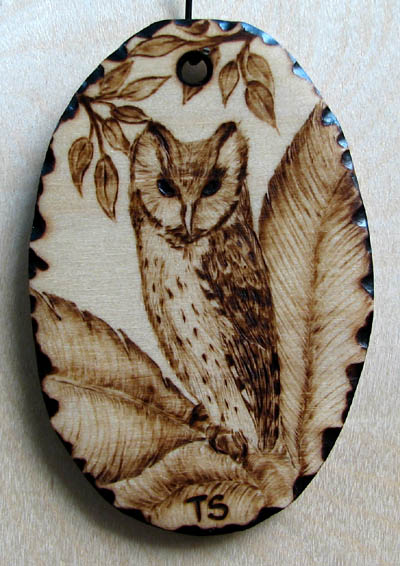 phodilus badius bay owl tanja sova pyrogaphy
